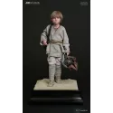 Star Wars Young Anakin Skywalker X Watto - JND Studio Collector