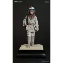 Star Wars Young Anakin Skywalker X Watto - JND Studio Collector