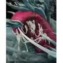 Attack on Titan Mikasa Vs Eren Execution Studio X Cedar Studio