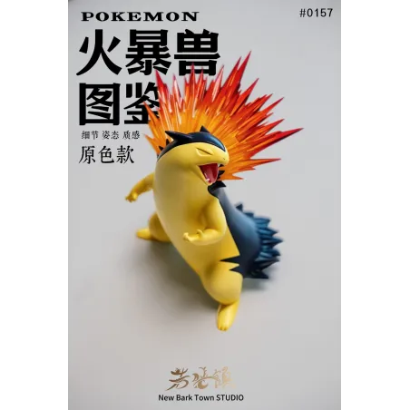 Typhlosion Wakaba Town Studio : Figurine Pokémon Exclusive