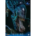 Aliens Alien Queen Hot Toys - Must-Have Collectible Figure