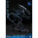 Aliens Alien Queen Hot Toys - Must-Have Collectible Figure