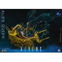 Aliens Alien Queen Hot Toys - Must-Have Collectible Figure
