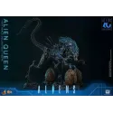 Aliens Alien Queen Hot Toys - Must-Have Collectible Figure