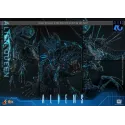 Aliens Alien Queen Hot Toys - Must-Have Collectible Figure