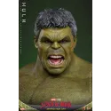 Spider-Man Nouveau Jour : Hulk Hot Toys - Collection Exclusive