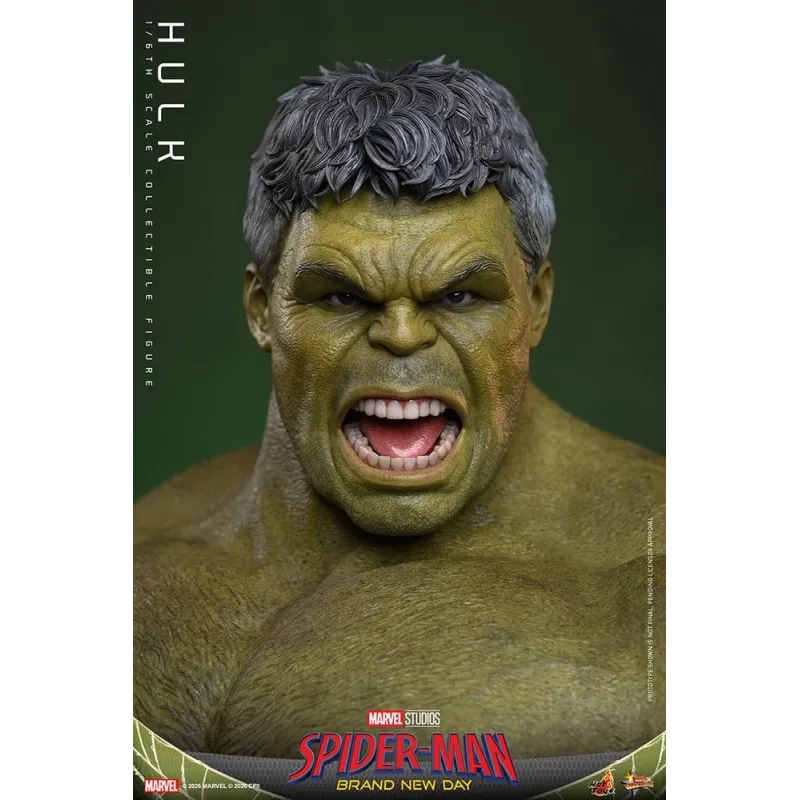 Spider-Man Nouveau Jour : Hulk Hot Toys - Collection Exclusive