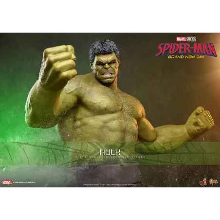 Spider-Man Brand New Day: Hulk Hot Toys - Exclusive Collection