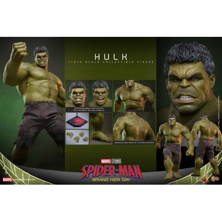 Spider-Man Brand New Day: Hulk Hot Toys - Exclusive Collection