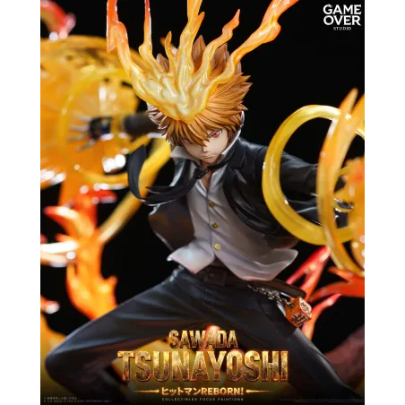 Katekyo Hitman Reborn! Tsunayoshi Sawada - Exclusive Game