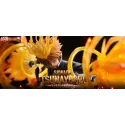 Katekyo Hitman Reborn! Tsunayoshi Sawada - Jeu Exclusif