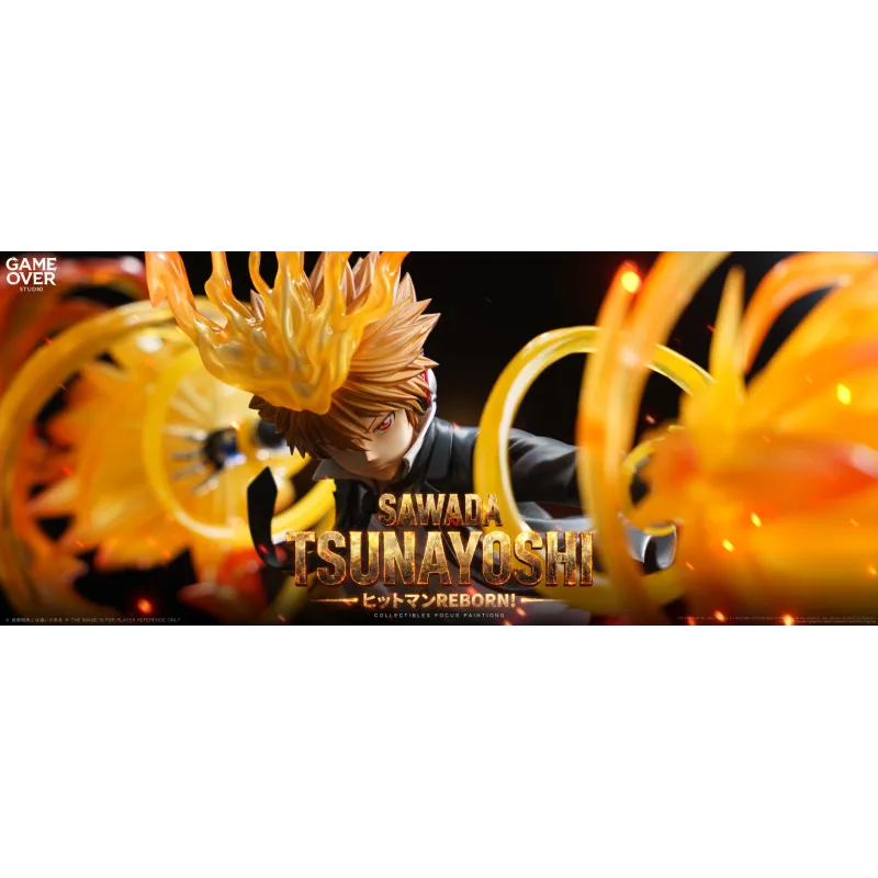 Katekyo Hitman Reborn! Tsunayoshi Sawada - Jeu Exclusif