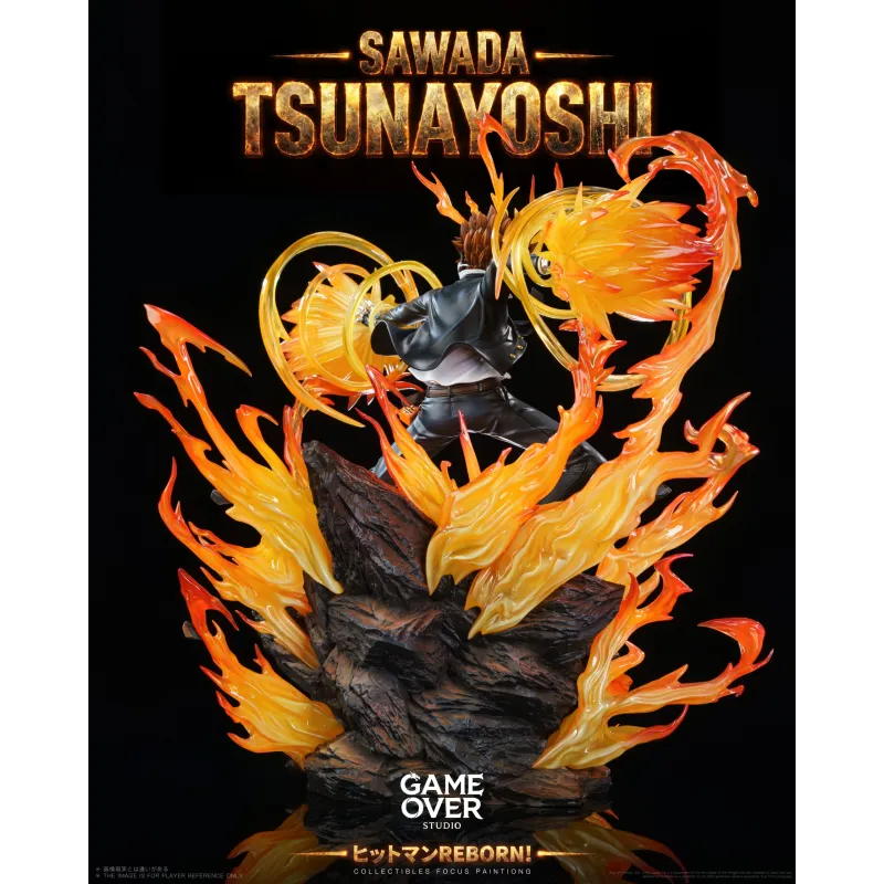 Katekyo Hitman Reborn! Tsunayoshi Sawada - Jeu Exclusif