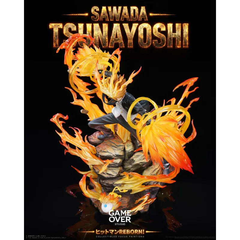 Katekyo Hitman Reborn! Tsunayoshi Sawada - Jeu Exclusif