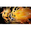 Katekyo Hitman Reborn! Tsunayoshi Sawada - Jeu Exclusif