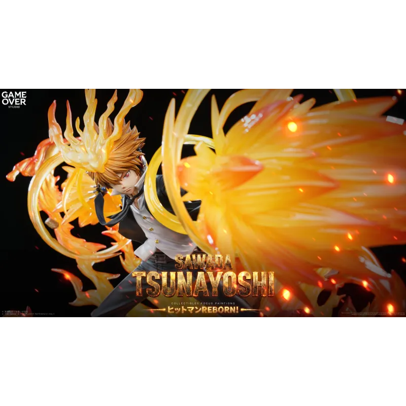 Katekyo Hitman Reborn! Tsunayoshi Sawada - Jeu Exclusif