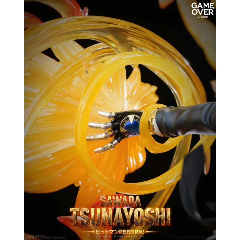 Katekyo Hitman Reborn! Tsunayoshi Sawada - Jeu Exclusif