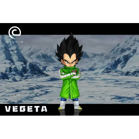 Dragon Ball Super Vegeta Green coat WCF C Studio