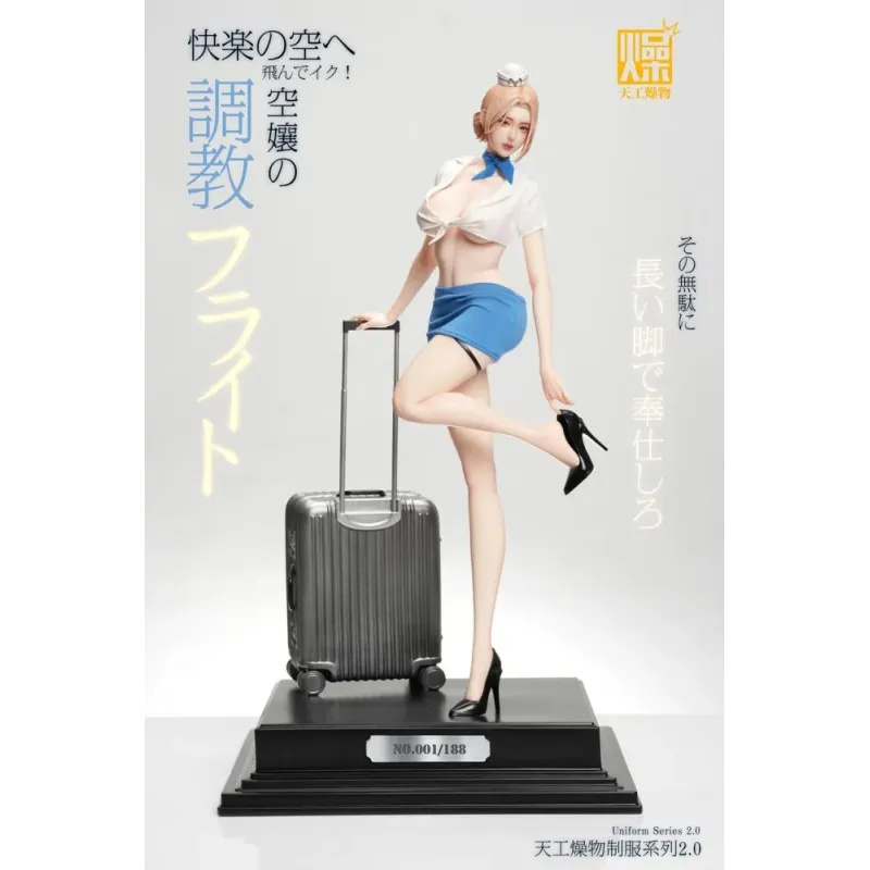 Uniform Series 2.0: Flight Attendant TGZW Studio Ideal