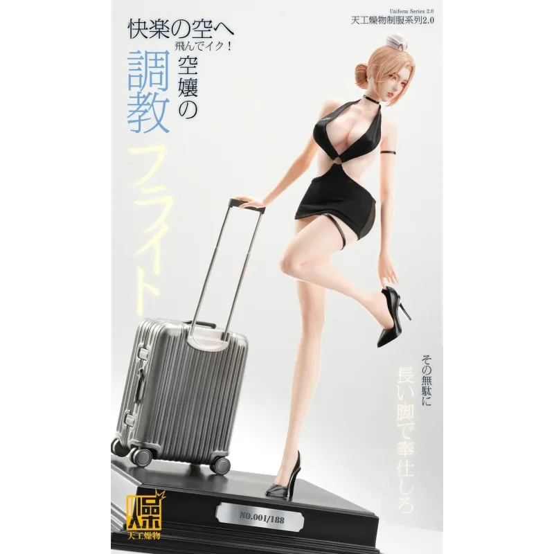 Uniform Series 2.0: Flight Attendant TGZW Studio Ideal