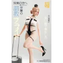 Uniform Series 2.0: Flight Attendant TGZW Studio Ideal