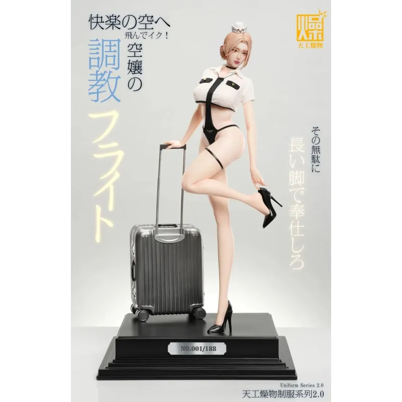 Uniform Series 2.0: Flight Attendant TGZW Studio Ideal