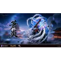 Batalla a través de los cielos: Estudio Oficial XiaoYan YaoGuang