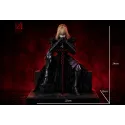 Fate/Stay Night Black Saber Domi Studio - Epic Collectible Figure