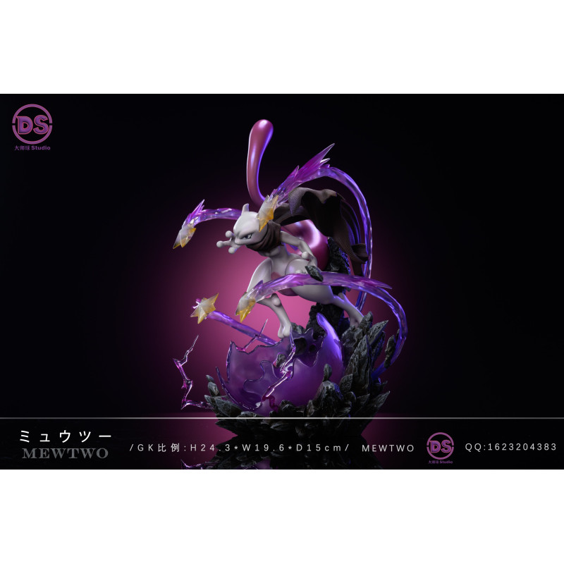 Pokemon Mewtwo DS Studio