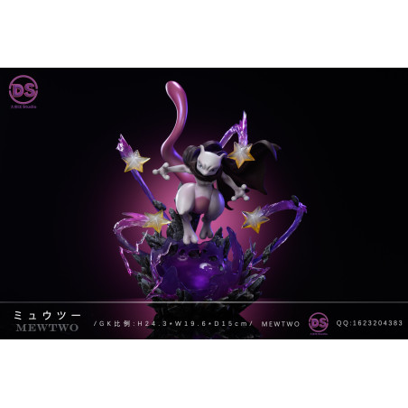 Pokemon Mewtwo DS Studio