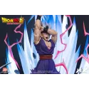 Dragon Ball Son Gohan HEX Collectibles - Unique Collection!