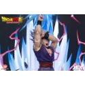 Dragon Ball Son Gohan HEX Collectibles - Unique Collection!