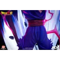 Dragon Ball Son Gohan HEX Collectibles - Unique Collection!