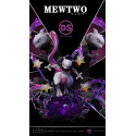 Pokemon Mewtwo DS Studio