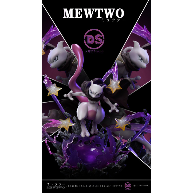 Pokemon Mewtwo DS Studio