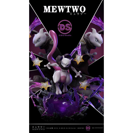 Pokemon Mewtwo DS Studio