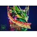 Estatua Mega Rayquaza Pokémon - GEISHA Studio Colección