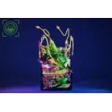 Estatua Mega Rayquaza Pokémon - GEISHA Studio Colección