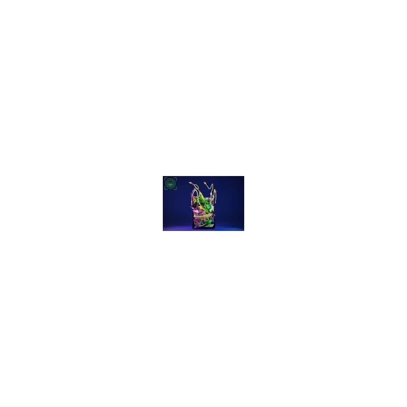 Estatua Mega Rayquaza Pokémon - GEISHA Studio Colección