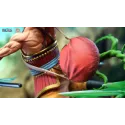 One Piece Usopp Jimei Palace