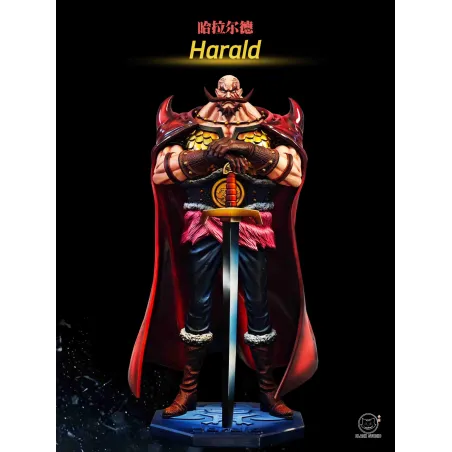 One Piece Harald BLACK Studio - Estilo y Exclusividad