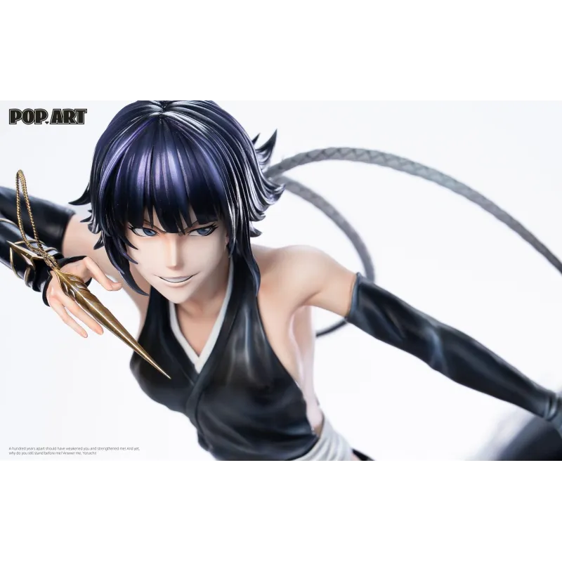 Soi Fon & Yoruichi Resin Statue - Bleach POP.ART Studio
