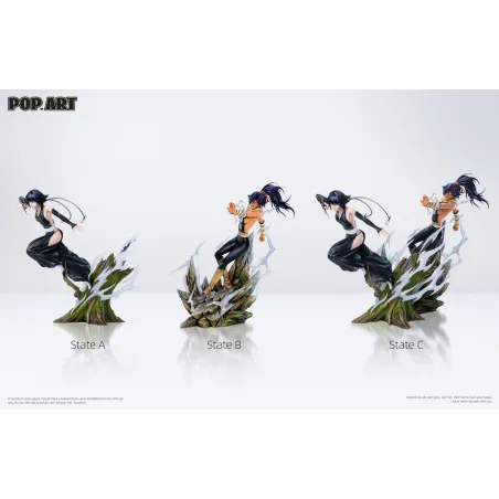 Estatua de Resina Soi Fon & Yoruichi - Bleach POP.ART Studio