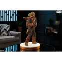 Star Wars Chewbacca and C-3PO - Sideshow Collectibles Figures