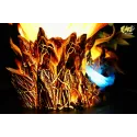 EMO Studio Charizard with LED - Unique Collectible Figure