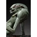 Alien Resurrection The Newborn Deepmyth Studio - Buy Now