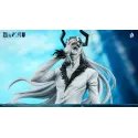 Bleach Zangetsu Hang Studio - Buy Now