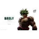 Dragon Ball Z Broly WDF Studio - Buy Now