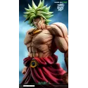 Dragon Ball Z Broly WDF Studio - Buy Now