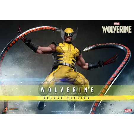 Marvel Wolverine Hot Toys - Buy Now